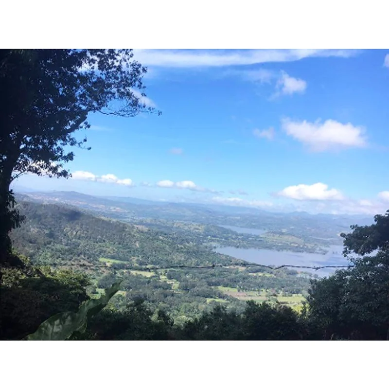 尼加拉瓜 德利西斯莊園 爪哇長顆種 厭氧日曬 批次271|中深M+# 掛耳咖啡 官方商品識別圖(可能展示產地,非包裝實物)